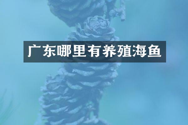 广东哪里有养殖海鱼