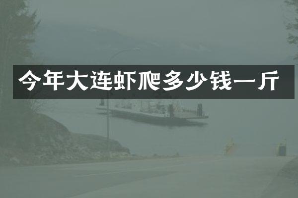 今年大连虾爬多少钱一斤