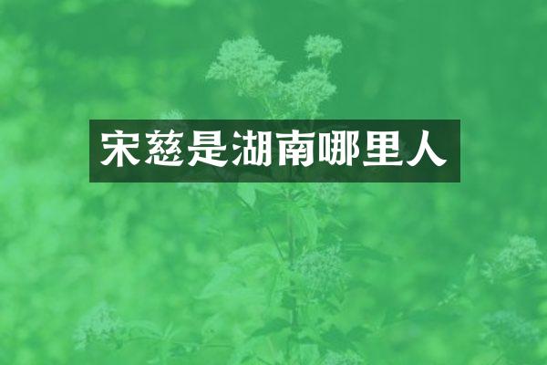 宋慈是湖南哪里人