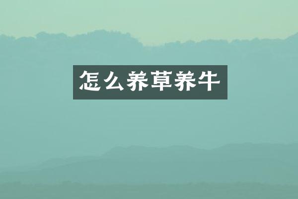 怎么养草养牛