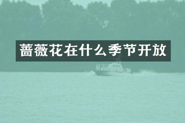蔷薇花在什么季节开放