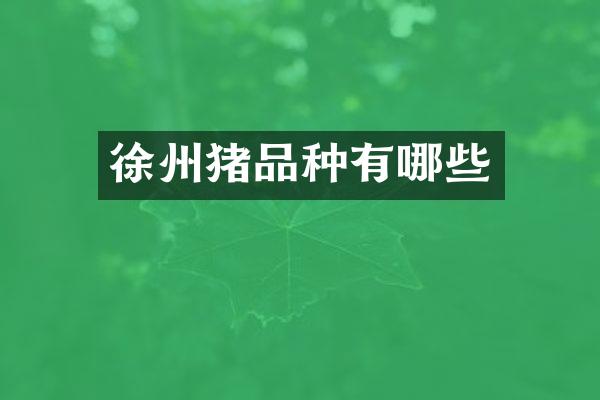 徐州猪品种有哪些