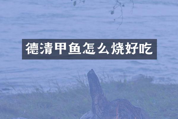 德清甲鱼怎么烧好吃