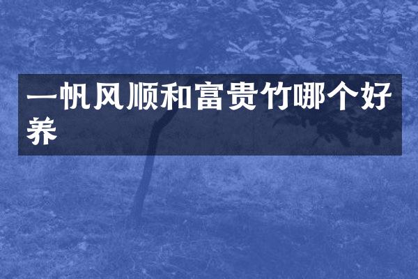 一帆风顺和富贵竹哪个好养