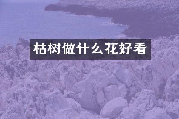 枯树做什么花好看