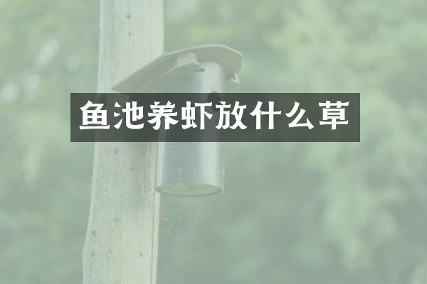 鱼池养虾放什么草