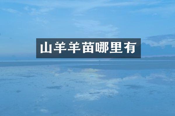 山羊羊苗哪里有