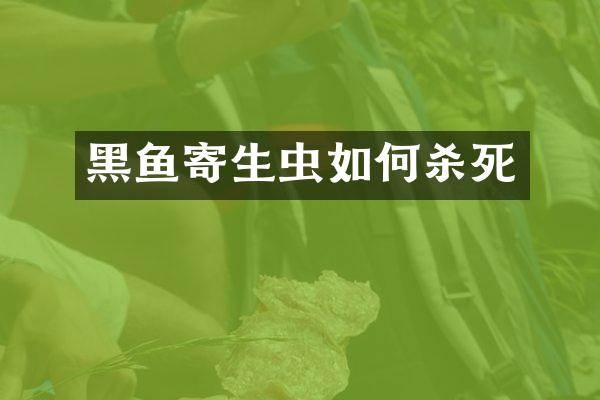黑鱼寄生虫如何杀死