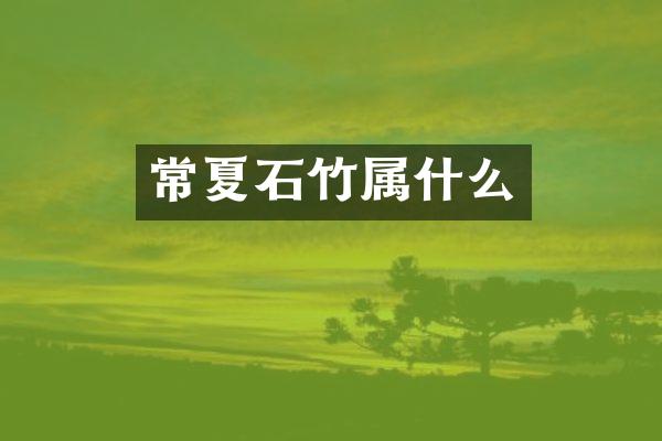 常夏石竹属什么