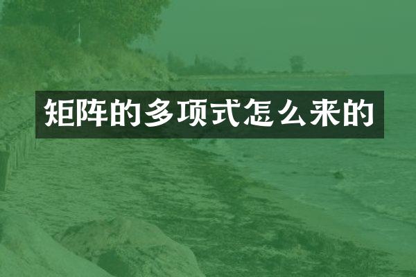 矩阵的多项式怎么来的