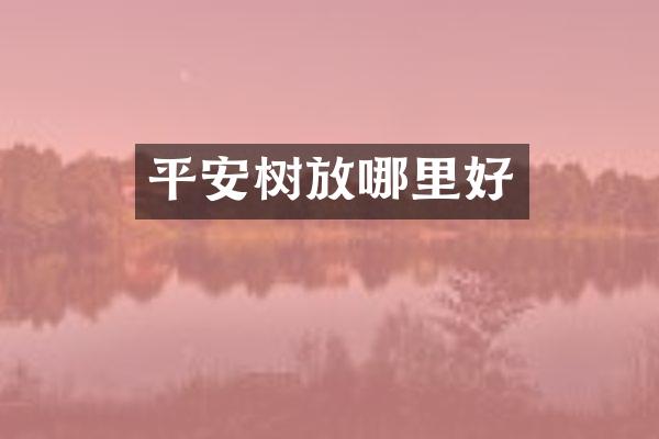 平安树放哪里好