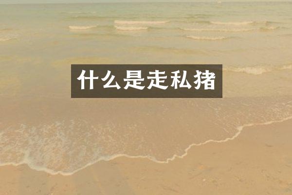 什么是走私猪