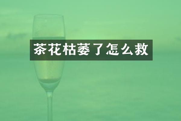茶花枯萎了怎么救