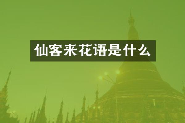 仙客来花语是什么