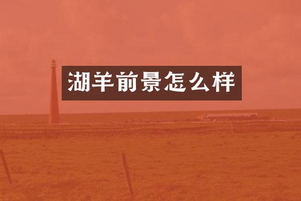 湖羊前景怎么样