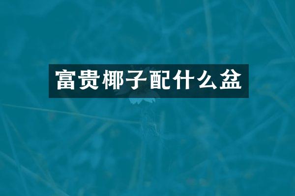 富贵椰子配什么盆