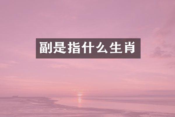 副是指什么生肖