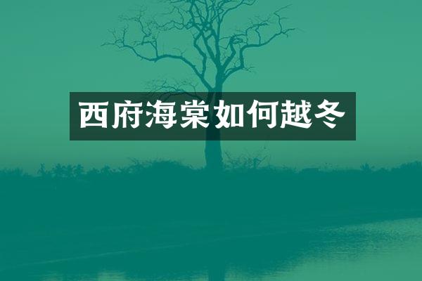 西府海棠如何越冬
