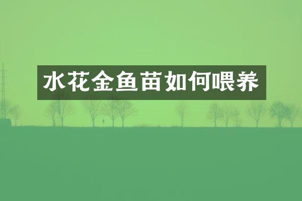 水花金鱼苗如何喂养