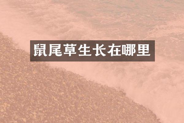 鼠尾草生长在哪里