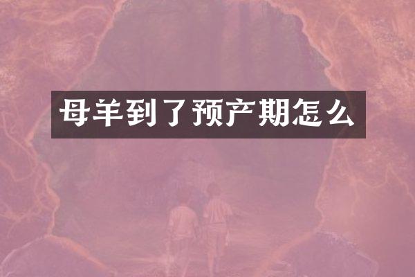 母羊到了预产期怎么