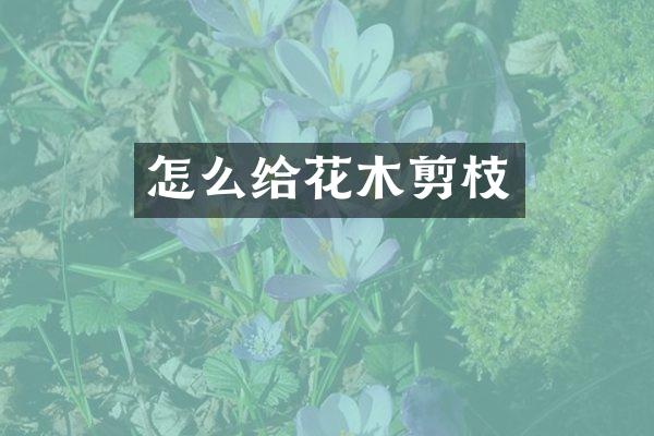 怎么给花木剪枝