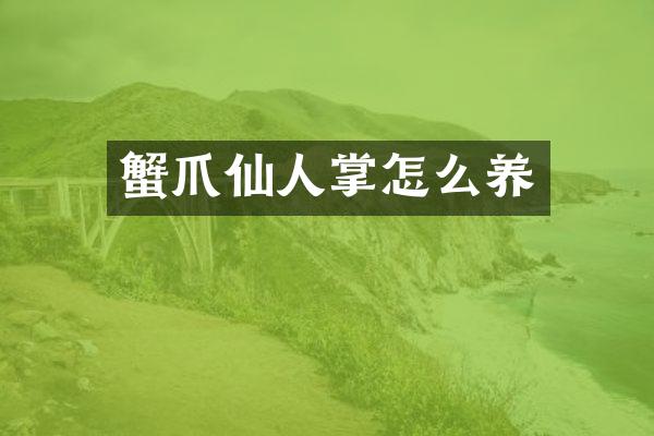 蟹爪仙人掌怎么养