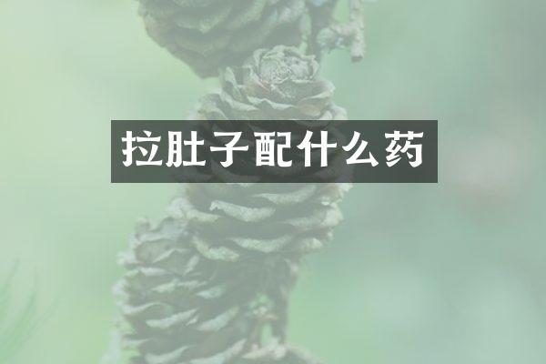 拉肚子配什么药