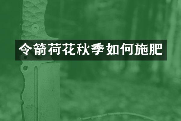 令箭荷花秋季如何施肥