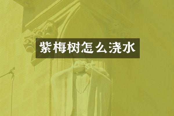 紫梅树怎么浇水