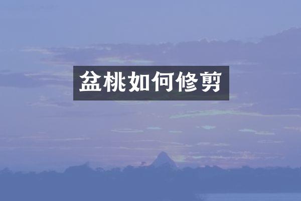 盆桃如何修剪
