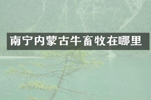 南宁内蒙古牛畜牧在哪里