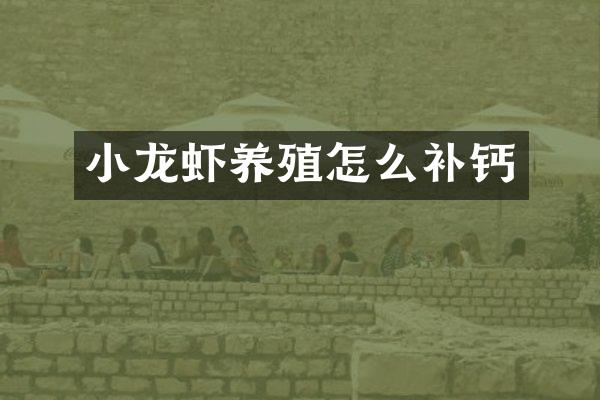 小龙虾养殖怎么补钙