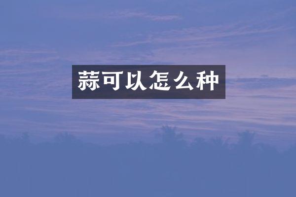 蒜可以怎么种