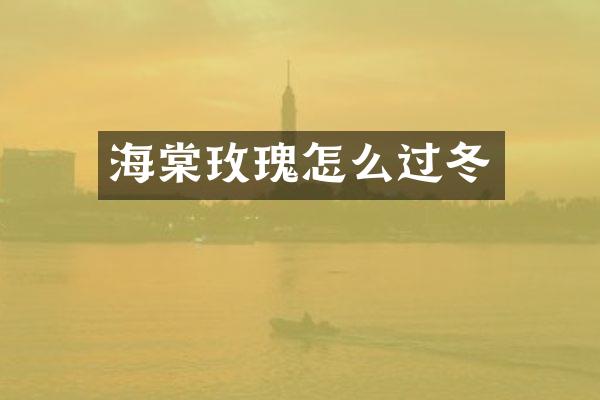 海棠玫瑰怎么过冬