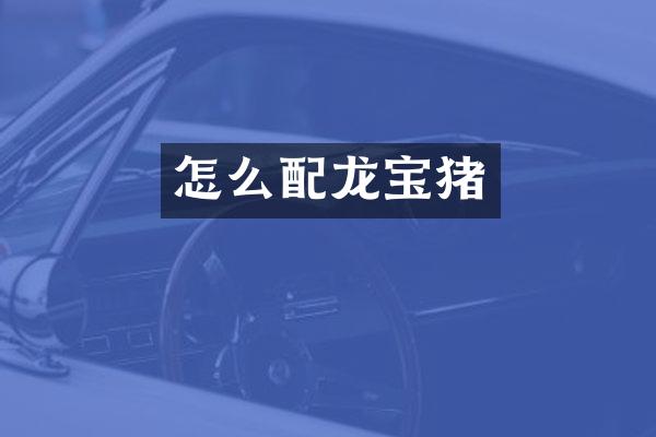怎么配龙宝猪