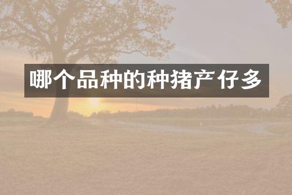 哪个品种的种猪产仔多