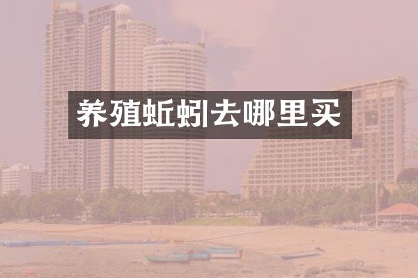 养殖蚯蚓去哪里买