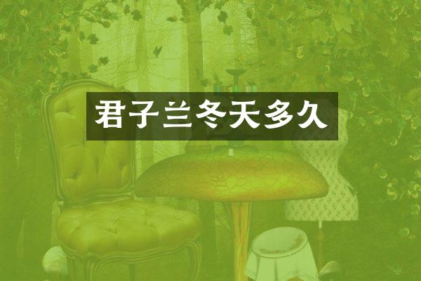 君子兰冬天多久