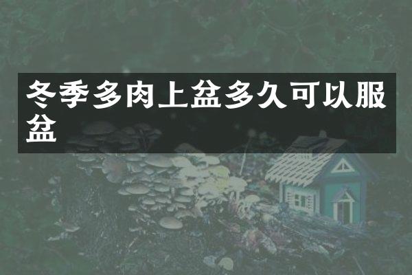 冬季多肉上盆多久可以服盆