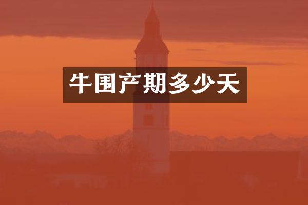 牛围产期多少天