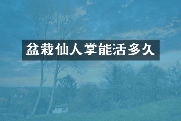 盆栽仙人掌能活多久