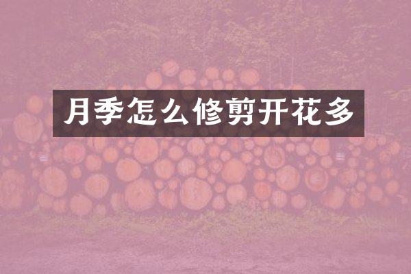 月季怎么修剪开花多