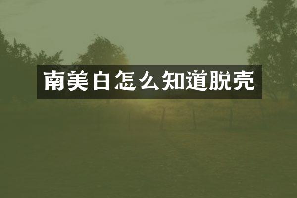 南美白怎么知道脱壳