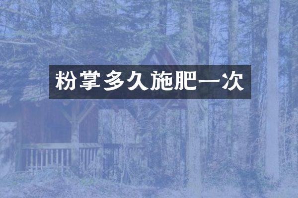 粉掌多久施肥一次