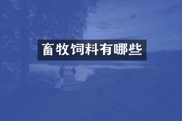 畜牧饲料有哪些