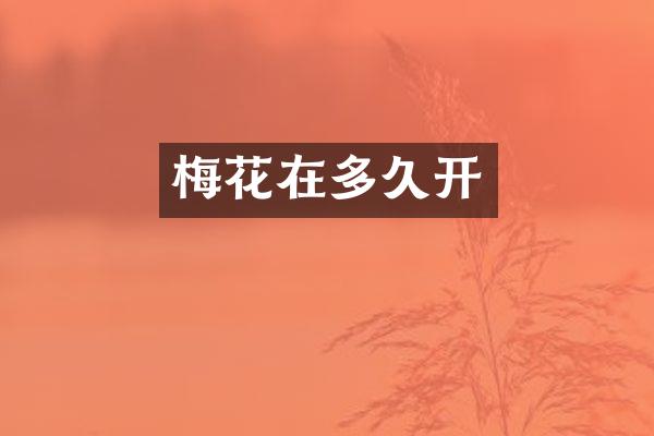 梅花在多久开