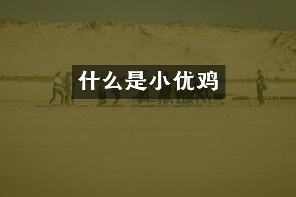 什么是小优鸡