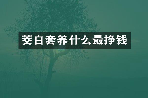 茭白套养什么最挣钱