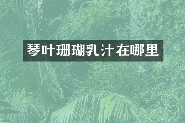 琴叶珊瑚乳汁在哪里